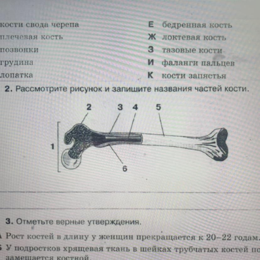 Рассмотри рисунок 2 на полях и запиши названия всех