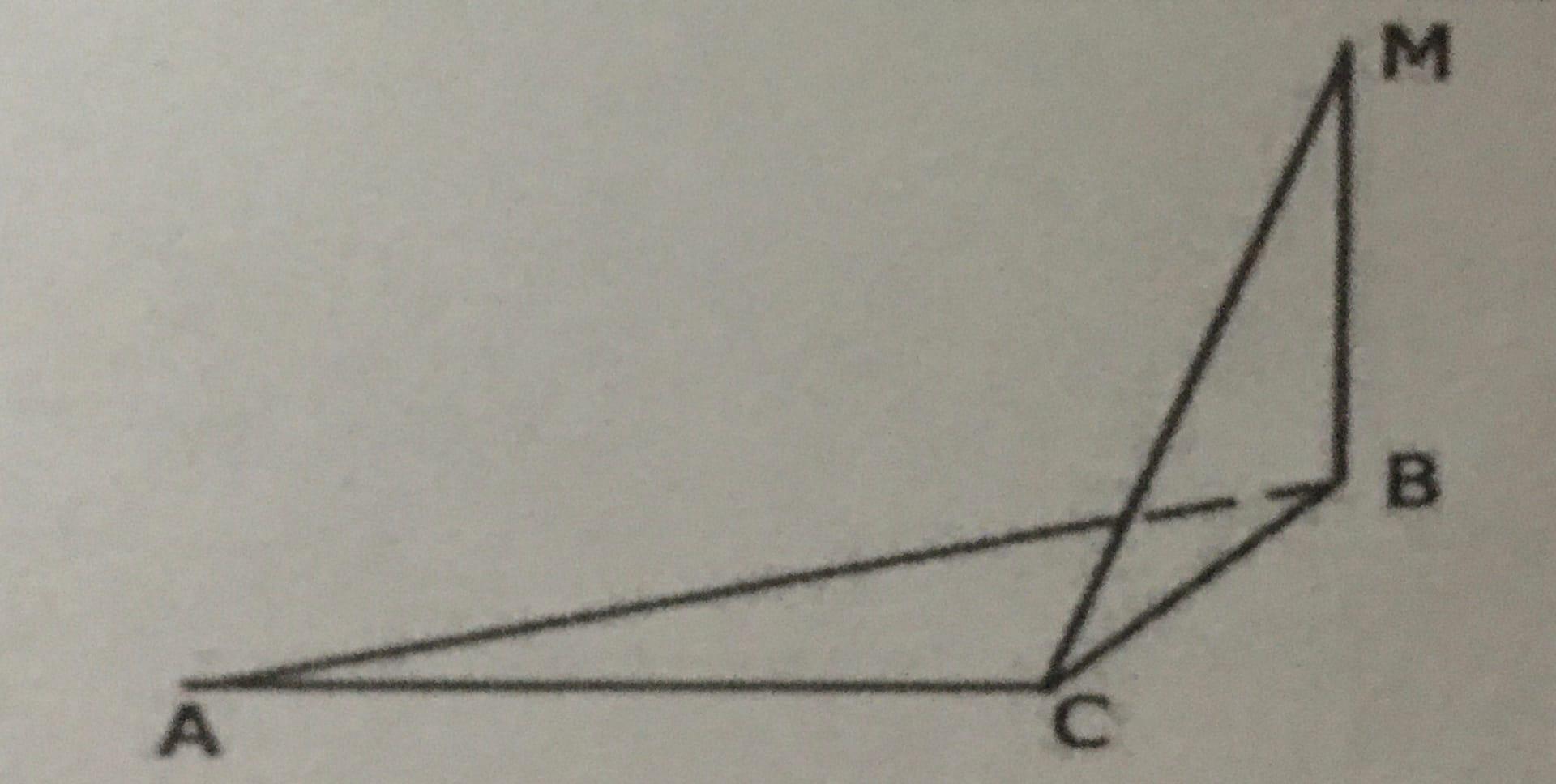 На рисунке схематически изображена лестница ас опирающаяся на стену какой отрезок является плечом