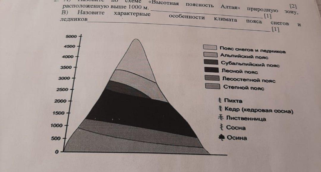 Какой природный процесс отображен на схеме снеговая линия фирновый бассейн