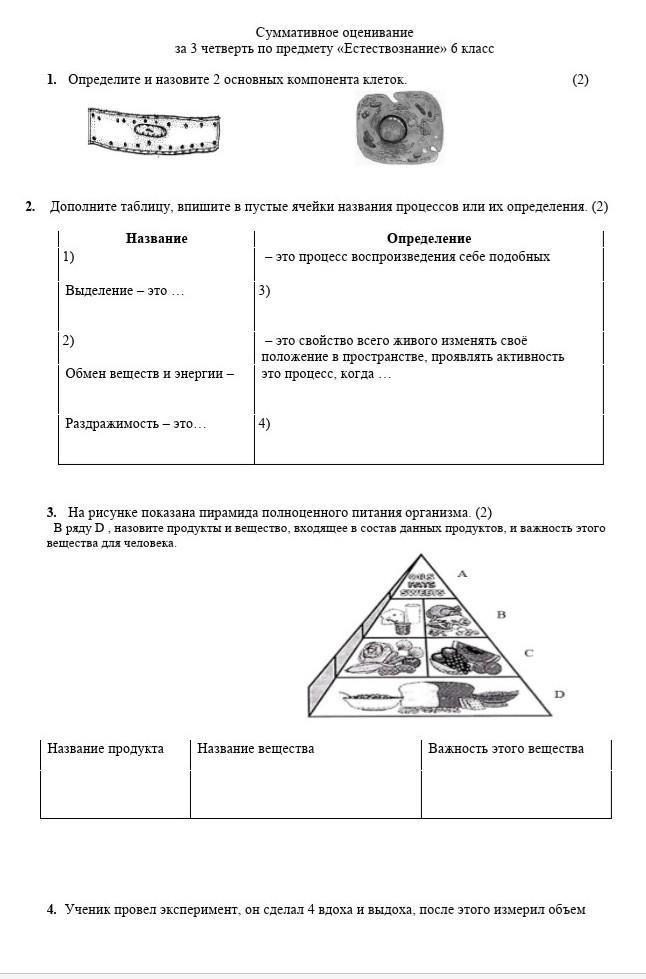 Научный проект по естествознанию 6 класс