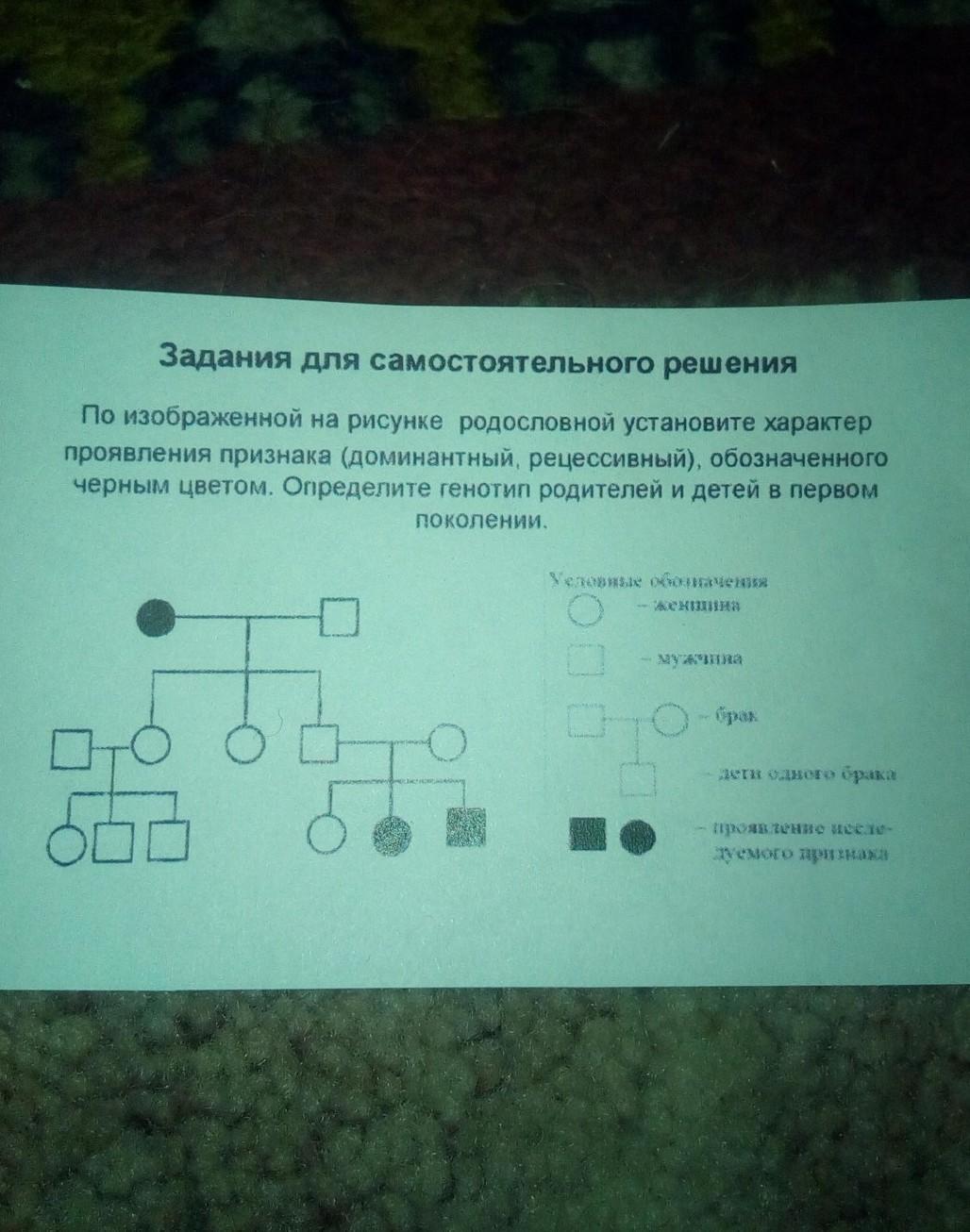 В изображенной на рисунке родословной признак выделенный черным цветом является