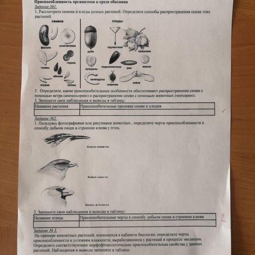 Ответы по лабораторным по биологии 6. Витамины лабораторная работа по биологии.