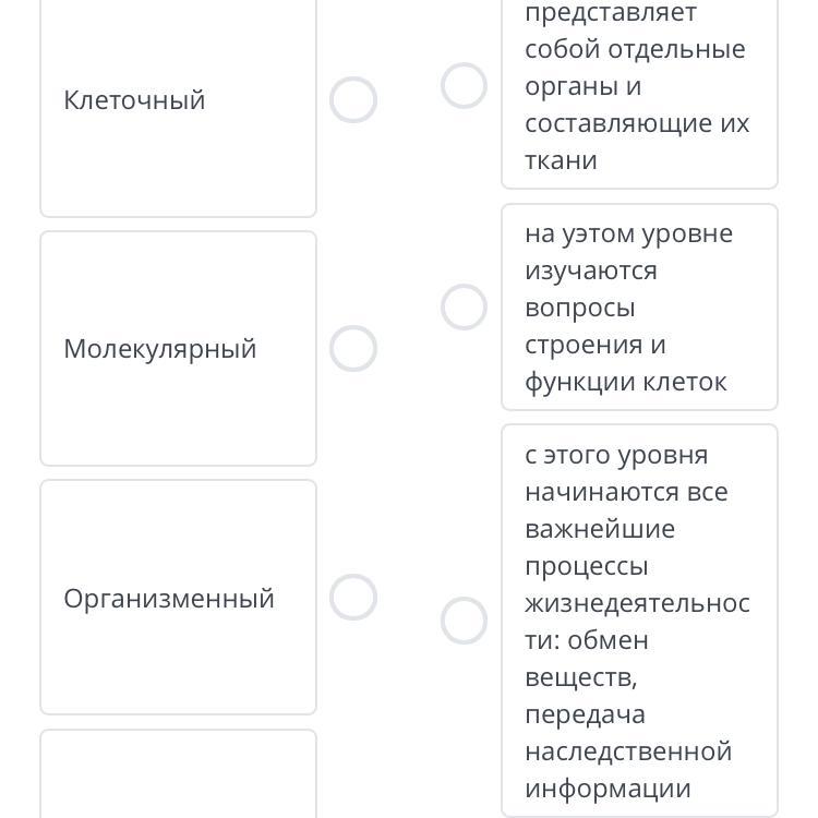 Установите соответствие уровень организации живых организмов характеристика. Установите соответствие между уровнями организации. Установите соответствие между уровнями богатства.