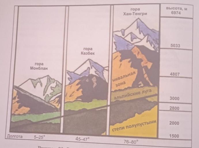 Определите высотная поясность каких гор россии показана на рисунке