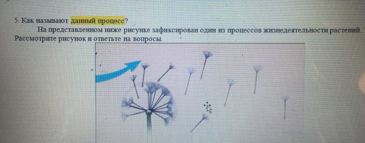 На представленном ниже рисунке ученик зафиксировал в виде схемы один из процессов 1 вариант впр