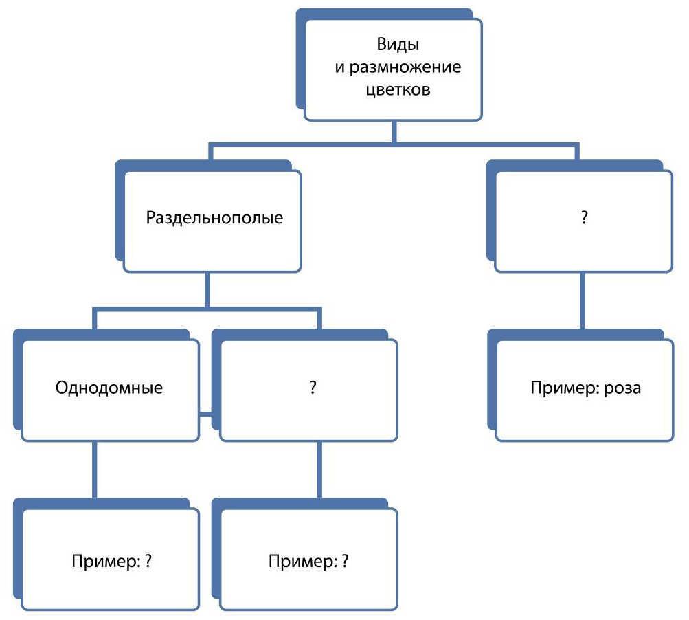 Заполните схему виды. Схемы разделения по признаку. Заполните схему. Заполните схему разделения растений на группы по признаку наличия. Заполнение схемы по.